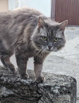 Прикрепленное изображение: PXL_20240620_174108813.jpg